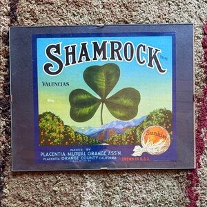 Shamrock Valencias Placentia Mutual Orange Assn vintage label sign framed 11x14